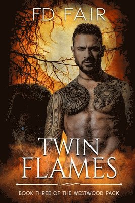 Twin Flames 1