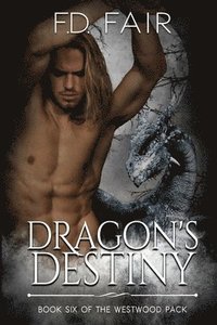 bokomslag Dragon's Destiny