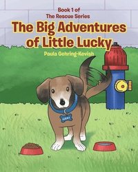 bokomslag Big Adventures of Little Lucky