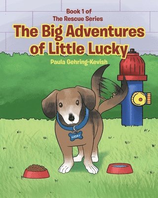 bokomslag Big Adventures of Little Lucky