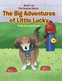 bokomslag Big Adventures of Little Lucky