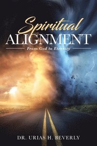 bokomslag Spiritual Alignment