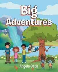 bokomslag Big Adventures