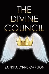bokomslag Divine Council