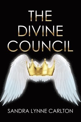 bokomslag Divine Council
