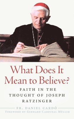 bokomslag What Does It Mean to Believe?