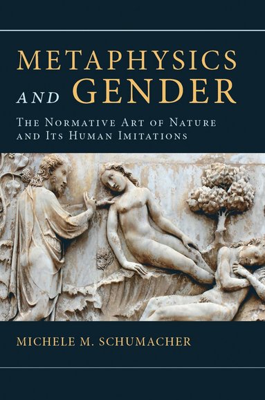 bokomslag Metaphysics and Gender