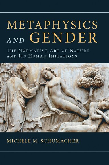 bokomslag Metaphysics and Gender