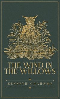 bokomslag Wind in the Willows