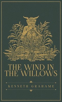 bokomslag Wind in the Willows
