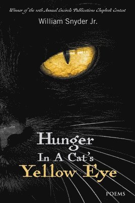 Hunger In A Cat's Yellow Eye 1
