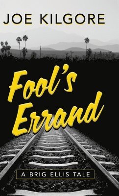 bokomslag Fool's Errand