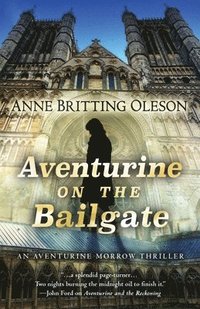 bokomslag Aventurine on the Bailgate