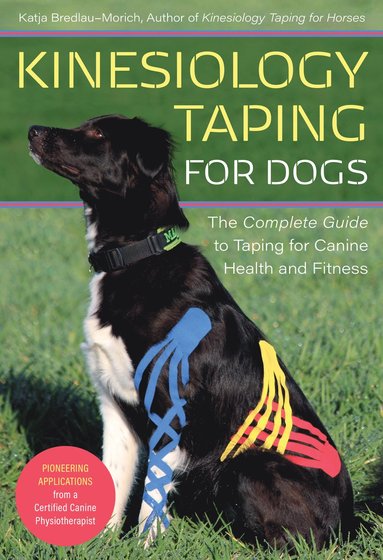 bokomslag Kinesiology Taping for Dogs