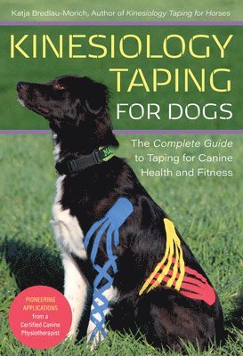 Kinesiology Taping for Dogs 1
