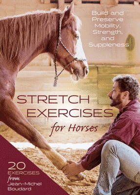 Stretch Exercises for Horses 1