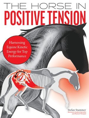 The Horse in Positive Tension 1