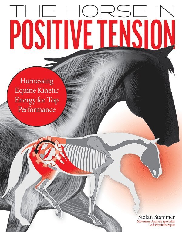 Horse in Positive Tension 1