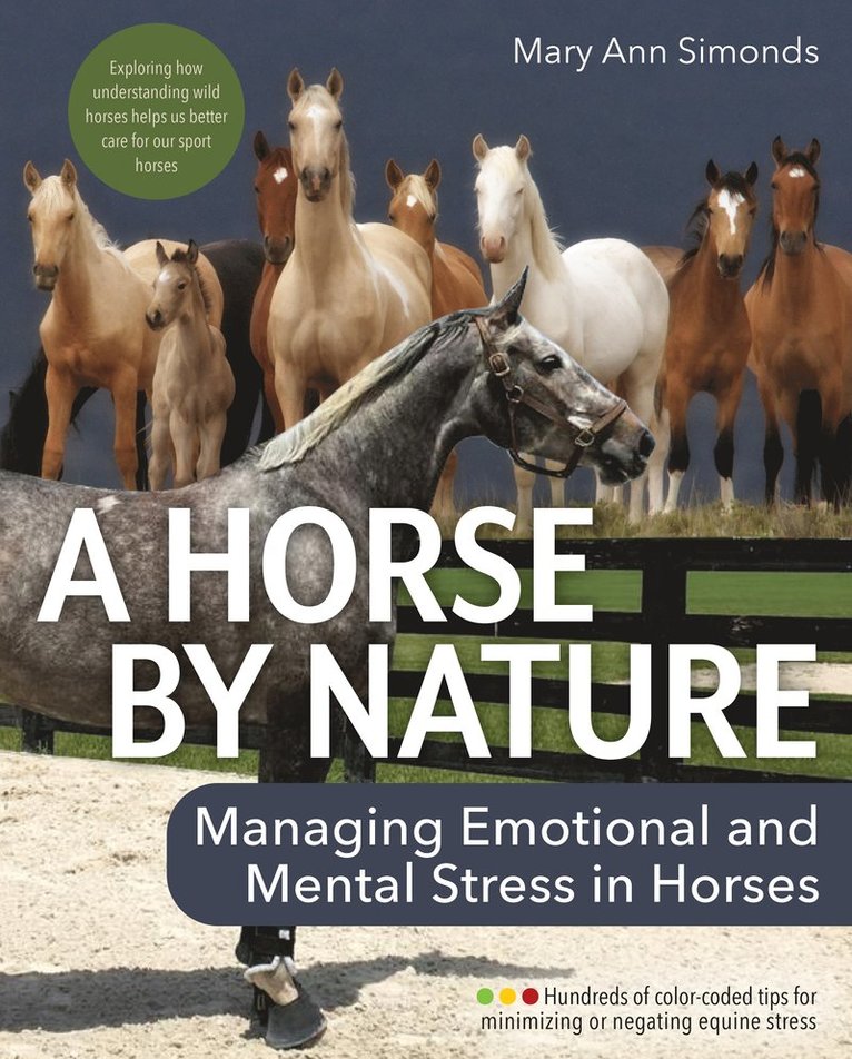 Horse by Nature 1