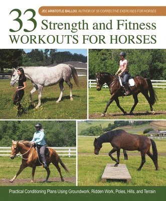 bokomslag 33 Strength and Fitness Workouts for Horses