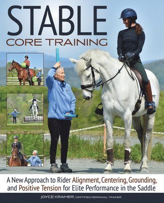 bokomslag Stable Core Training