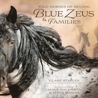bokomslag Wild Horses of Skydog: Blue Zeus and Families