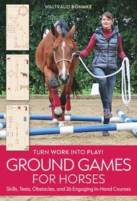 bokomslag Ground Games for Horses