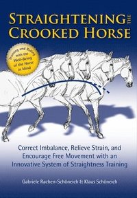 bokomslag Straightening the Crooked Horse