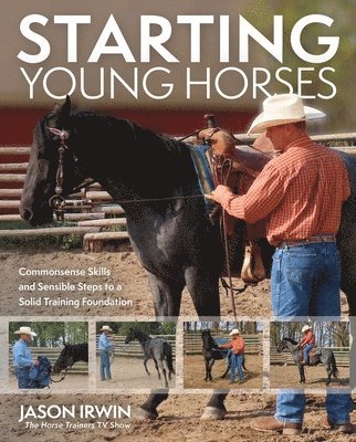 bokomslag Starting Young Horses
