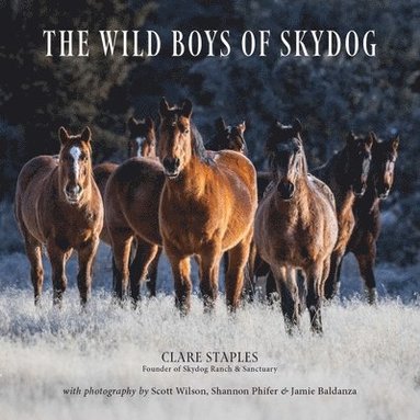 bokomslag Wild Boys of Skydog