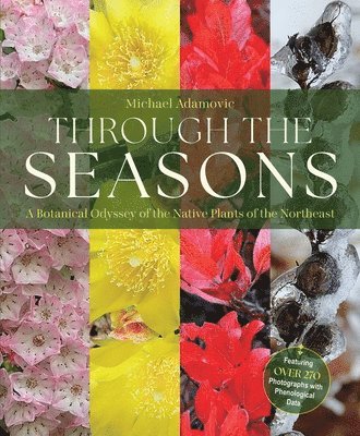 bokomslag Through the Seasons