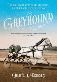 bokomslag Greyhound