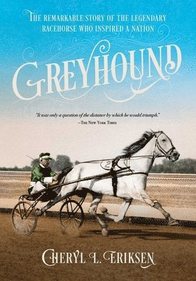 bokomslag Greyhound