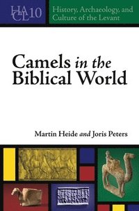 bokomslag Camels in the Biblical World