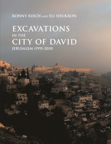 bokomslag Excavations in the City of David, Jerusalem (1995-2010)