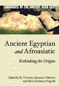 bokomslag Ancient Egyptian and Afroasiatic