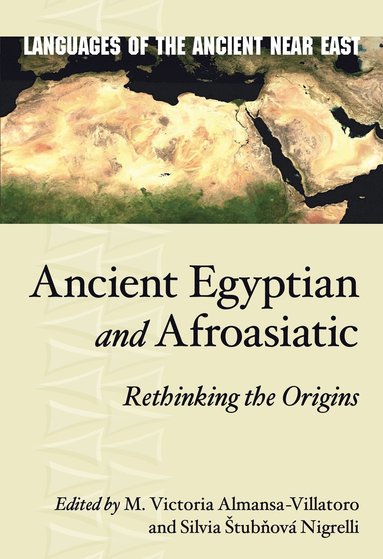 bokomslag Ancient Egyptian and Afroasiatic