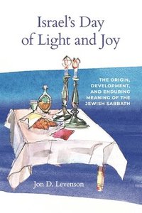 bokomslag Israels Day of Light and Joy