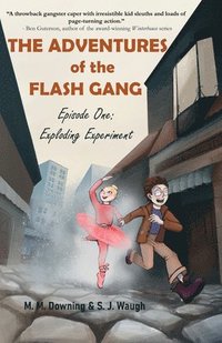 bokomslag The Adventures of the Flash Gang