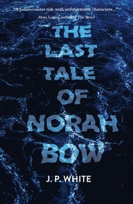 bokomslag Last Tale of Norah Bow