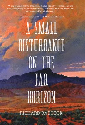 A Small Disturbance on the Far Horizon 1