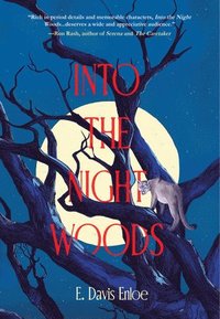 bokomslag Into the Night Woods