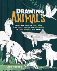 bokomslag Drawing Animals