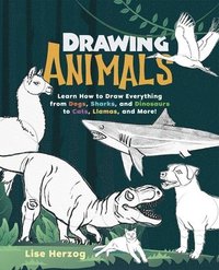 bokomslag Drawing Animals: Learn How to Draw Everything from Dogs, Sharks, and Dinosaurs to Cats, Llamas, and More!
