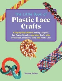 bokomslag The Little Book of Plastic Lace Crafts
