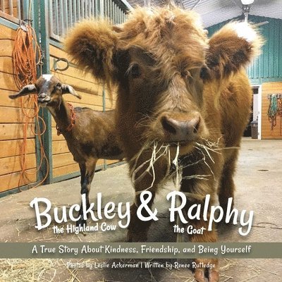 Buckley the Highland Cow and Ralphy the Goat 1