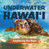 bokomslag Underwater Hawai'i: Exploring the Reef