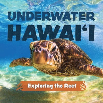 Underwater Hawai'i: Exploring the Reef 1
