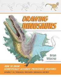 bokomslag Drawing Dinosaurs