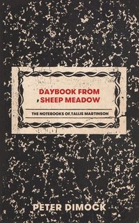 bokomslag Daybook from Sheep Meadow